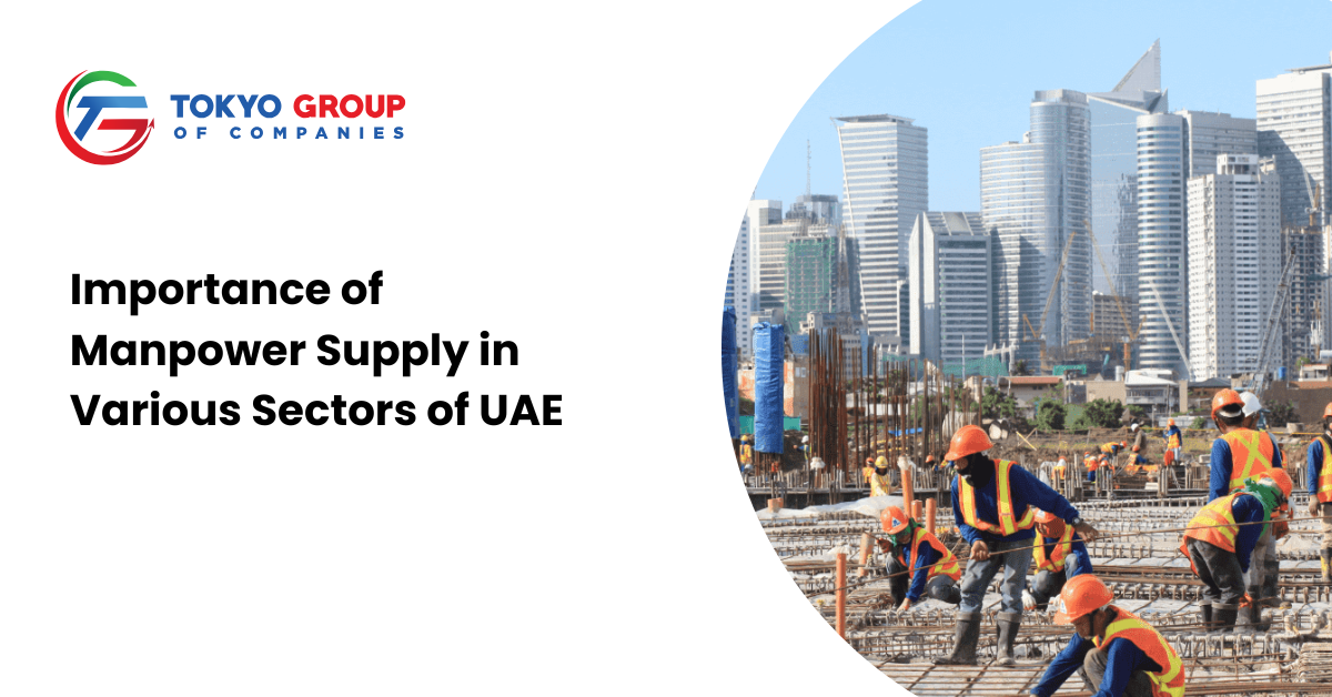 Importance of Manpower Supply in Various Sectors of UAE