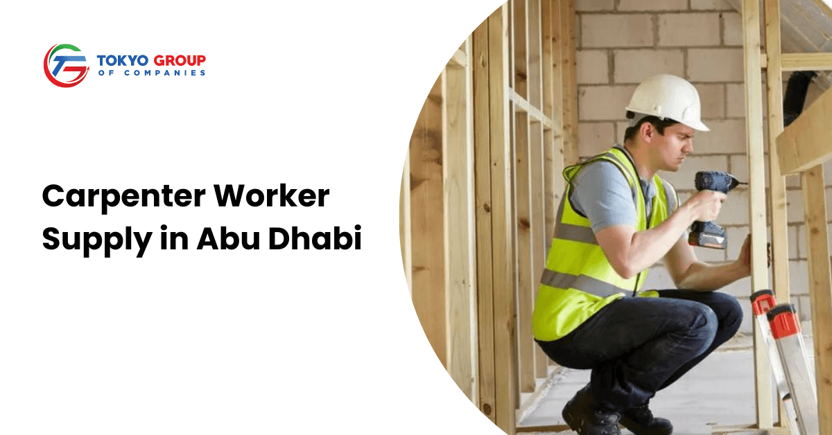 Carpenter Worker Supply in Abu Dhabi