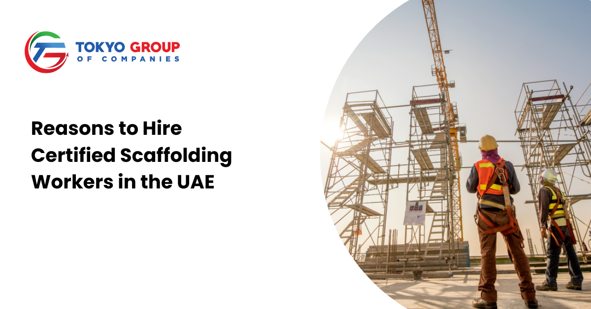 Reasons to Hire Certified Scaffolding Workers in the UAE